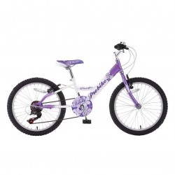 Probike Melody 20 6 Speed Junior Bike 